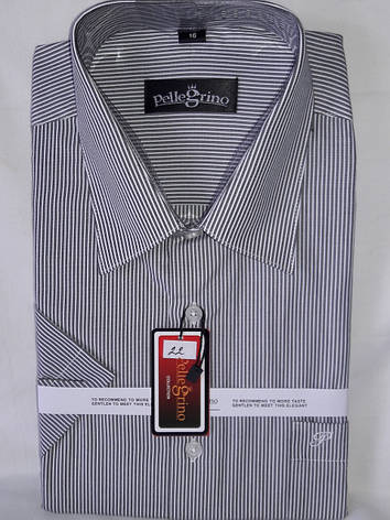 Сорочка чоловіча з коротким рукавом vk-0021 Pellegrino сіра в смужку класична, фото 1