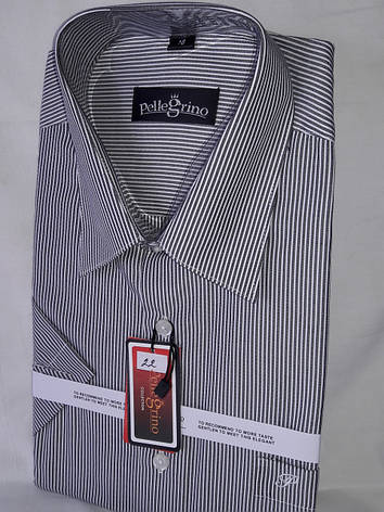 Сорочка чоловіча з коротким рукавом vk-0021 Pellegrino сіра в смужку класична, фото 2