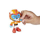 Чудові пташенята Свіфт і швидколіт, фото 5