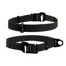 Нашийник для собак EVOLUTOR