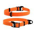 Нашийник для собак EVOLUTOR помаранчевий