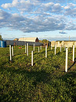 Винтовые сваи с порошковой покраской.