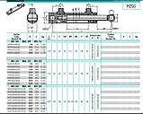 Гідравлічні циліндри подвійної дії HFR / HFR2S-M250 Contarini, фото 2