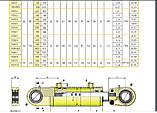 Гідравлічний циліндр двосторонньої дії 1000/05 Flowfit, фото 2