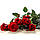 Стіл обідній Квадратний з прохідною полицею скло фотодрук Red Roses 700х700*Еко мм (БЦ-Стіл ТМ), фото 4
