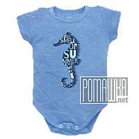 Детский боди футболка 74 5 7 мес летний для мальчика ребёнка новорожденных малышей лето из КУЛИР 4687 Голубой