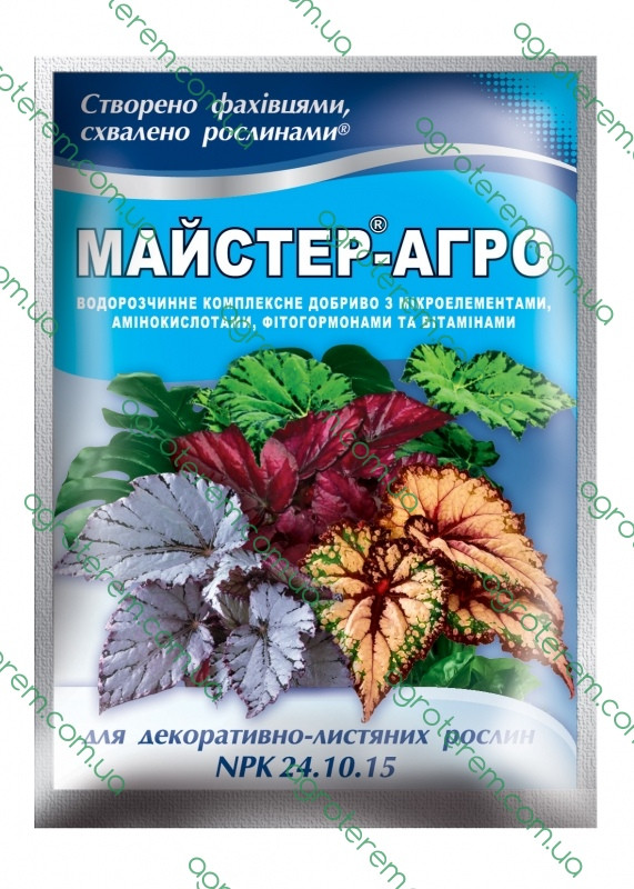 (Ф) Майстер Декоративно-листяні 25гр