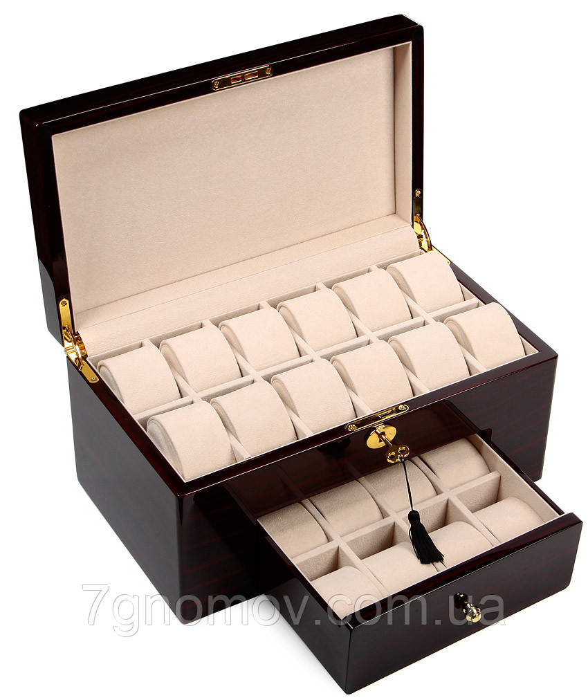 Скринька для зберігання 20 годин Rothenschild RS-809-20EC