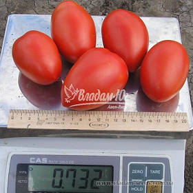 Насіння томату КОЛІБРІ F1, 250 насінин