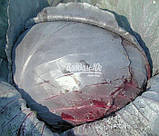 Насіння червоної капусти РЕДСКАЙ F1, 2500 насінин, фото 3