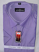 Рубашка мужская с коротким рукавом vk-0051 Pellegrino сиреневая в полоску классическая