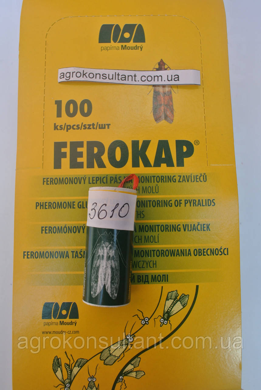 Липка стрічка від молі Ферокап (Чехія) — ефективна боротьба з побутовою моллю