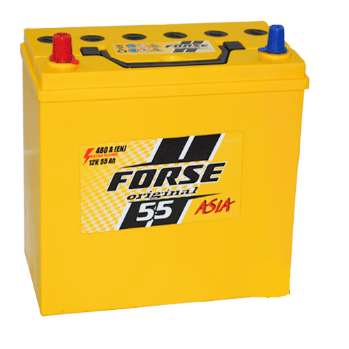 АКБ FORSE JP 6CT-55A2 480A L+ 237*128*225