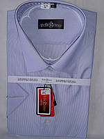Рубашка мужская vk-0045 Pellegrino голубая приталенная в полоску с коротким рукавом
