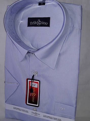 Сорочка чоловіча з коротким рукавом vk-0047 Pellegrino блакитна в смужку класична, фото 3