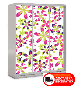 Шафа купе 3Д тридверна Квіти 5, вибір кольору корпусу та малюнка