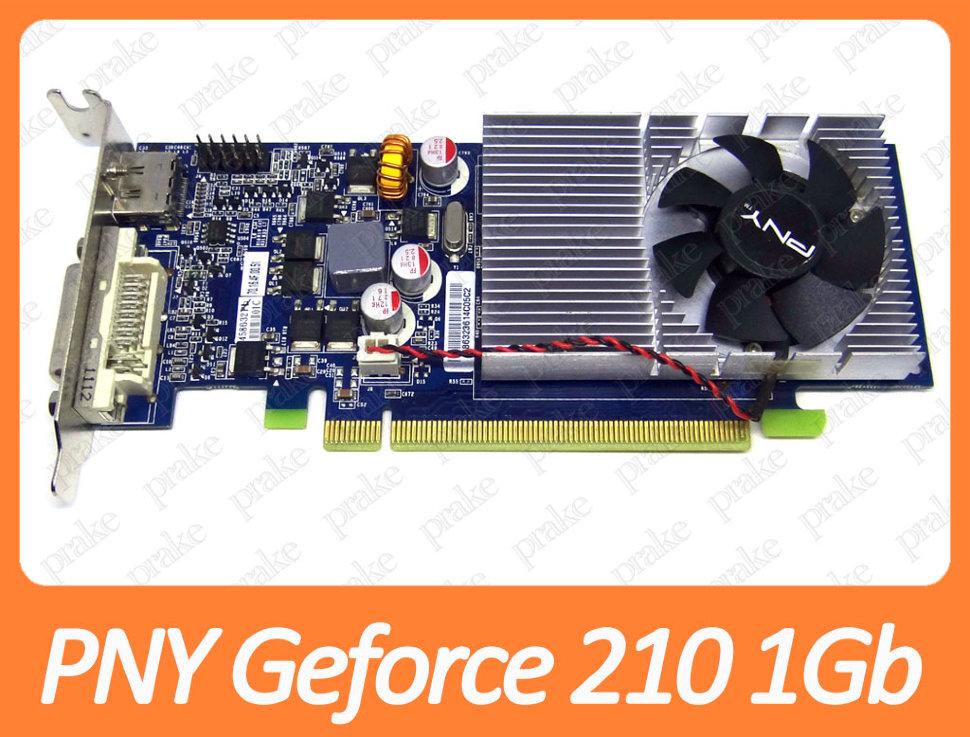 Відеокарта PNY Geforce 210 1Gb PCI-Ex DDR3 128bit (DVI + HDMI + VGA) низькопрофільна