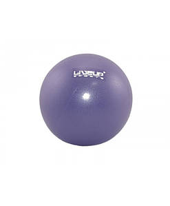 М'яч гімнастичний LiveUp Mini Ball 20 см (LS3225-20) Purple