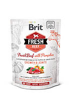 Сухий корм Brit Fresh Puppy Large Beef Pumpkin для цуценят великих порід 2,5 кг