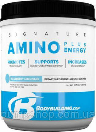 Амінокислоти + енергія 3-1-1 Bodybuilding Signature Amino Plus Energy 30 порц. (300 г), фото 2