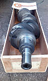 Колінвал ЮМЗ Д-65, фото 3
