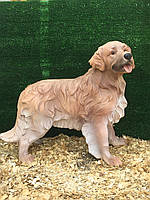 Собака мисливський висота 54 см