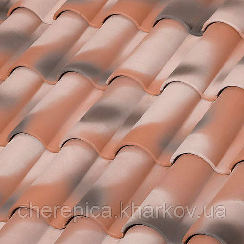 Керамічна черепиця Tejas Borja TB-10 TECH Manoir, фото 1