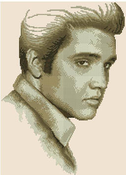 Набір для вишивання хрестиком Елвіс Преслі (Elvis Presley). Розмір: 22*31 см