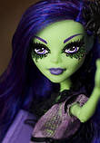 Лялька Monster High Аманіта Найтшейд — Amanita Nightshade (CKP50), фото 5