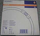 Лампа кільцева OSRAM FC 40W/830 люм., фото 2