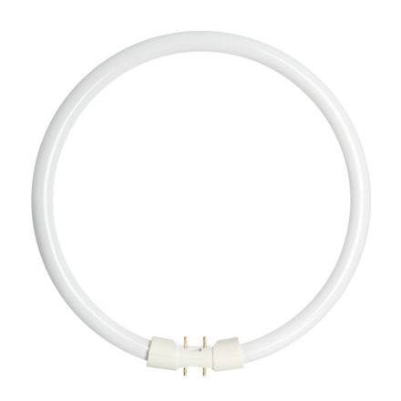 Лампа кільцева OSRAM FC 55W/830 2GX13 люм.T5, фото 1