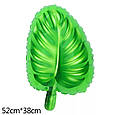 Фольгований куля тропічний лист пальми Монстера на зеленому тлі 52*38 див., фото 5