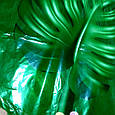 Фольгований куля тропічний лист пальми Монстера на зеленому тлі 52*38 див., фото 4