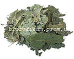 Волоський горіх листя 50 грамів (Juglans regia)