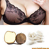 Pueraria Mirifica капсули для збільшення грудей із вітаміном B6 і B12, фото 3