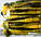 Силіконова приманка їстівна Flat Worm (Червь Плоский), TBR-016, колір 034, 10шт., фото 5