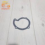 Прокладка насоса водяного ЮМЗ, фото 3