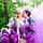 Фіолетовий дим для фотосесії, Кольоровий дим Maxsem, фіолетовий дим (Середня насиченість), фото 5