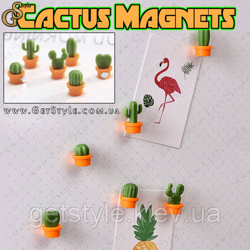 Мініатюрні магніти Кактус — "Cactus Magnets" — 6 шт., фото 1