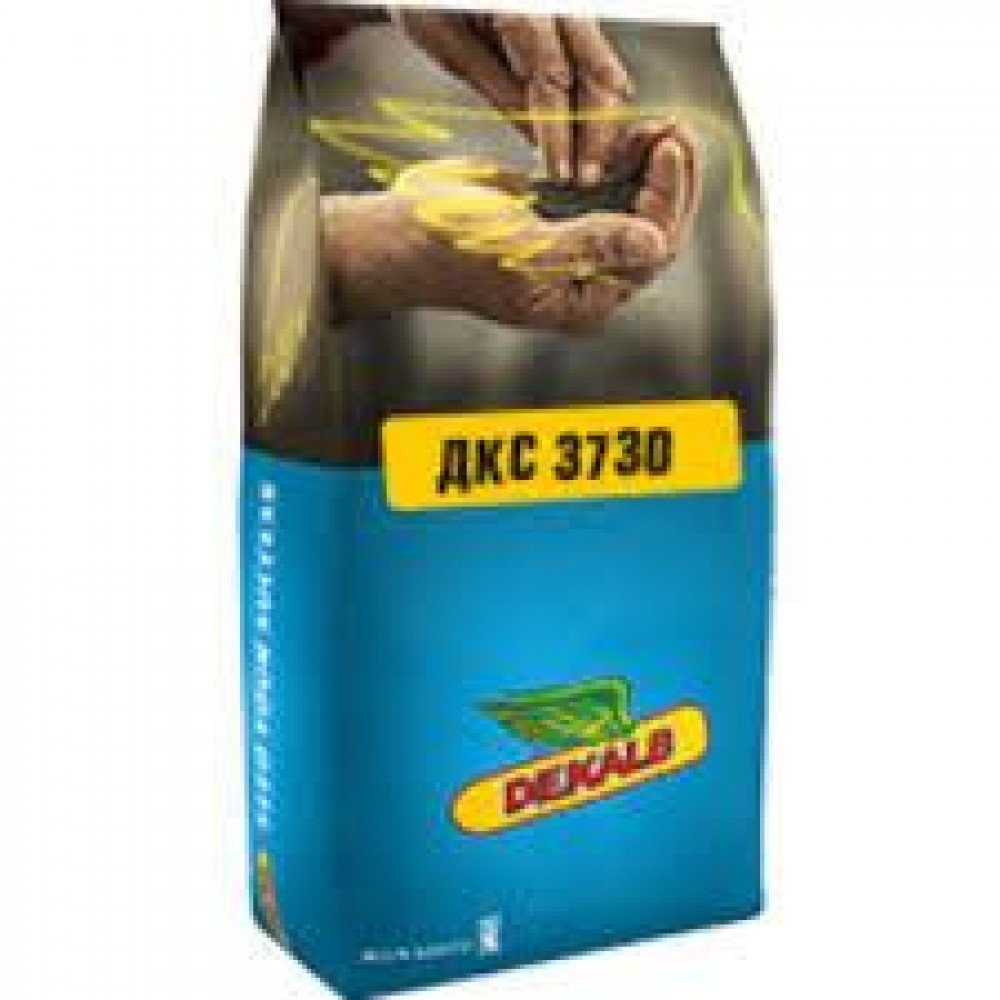 Кукурудза ДКС 3730 ФАО 280 C Bayer
