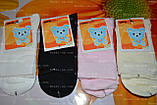 Дитячі шкарпетки. по стопі 16-18 см, фото 2