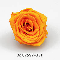 Стабилизированная роза "Charlotte", А: 351, 12 бутонов