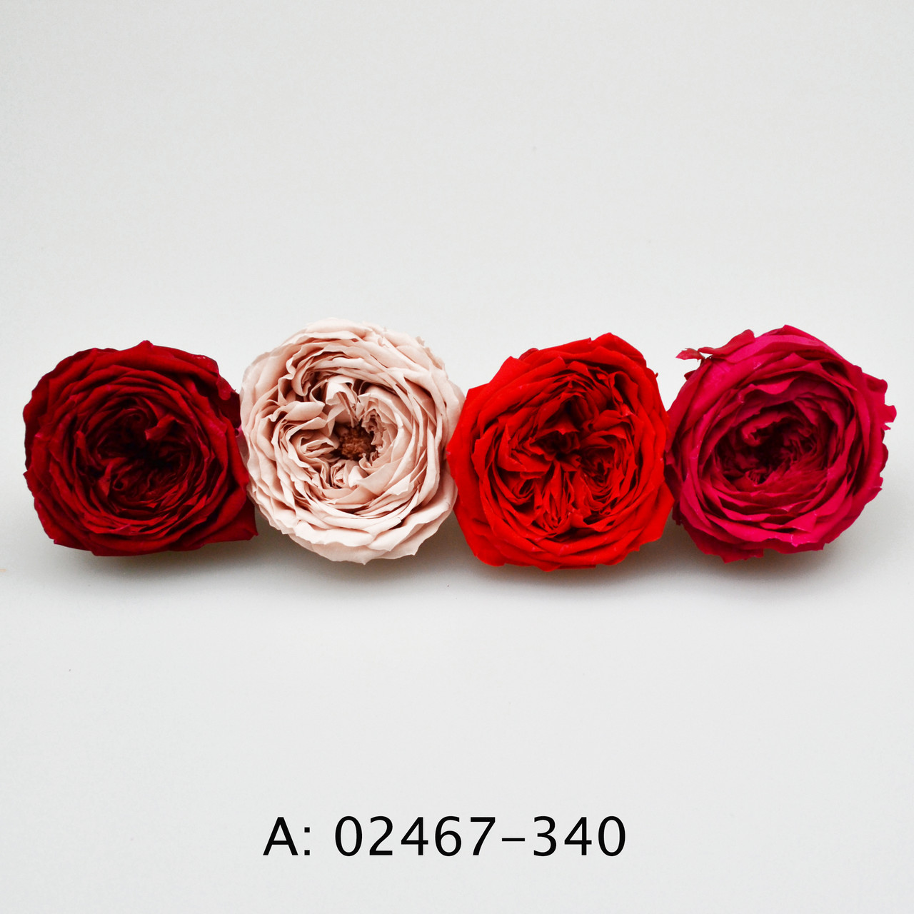 Стабілізовані троянди "Темарі Блоссом", 8 бут., А:340