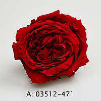 Стабілізовані троянди Джульєтта (Juliet), А:471