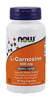 Now L-Carnosine 500 mg 50 veg caps