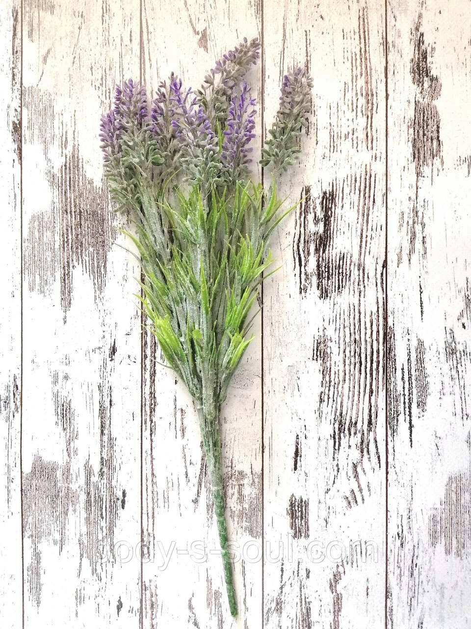 Квіти лаванди гірської (фіолетовий колір)
