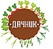 Дачник