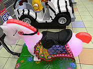 Ігровий атракціон Crazy Horse