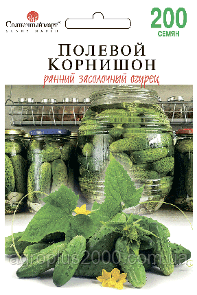 Насіння Огірок бджолине Польове Корнішон 200 насіння Сонячний Март, фото 1