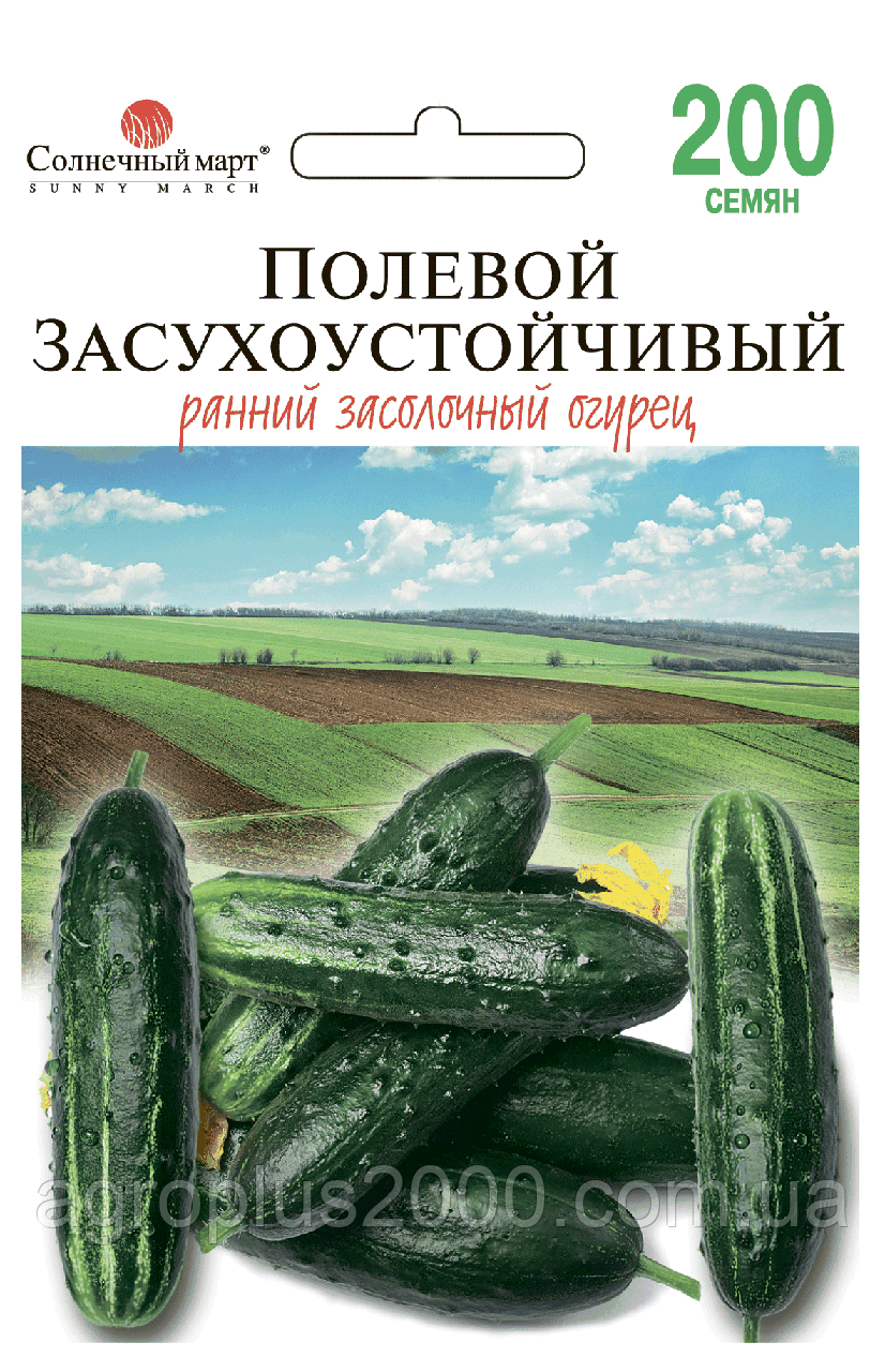 Насіння Огірок бджолозапильний Польовий Посухостійкий 200 насінин Сонячний Березень